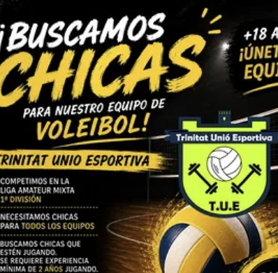 Buscamos chicas para el equipo de voleibol